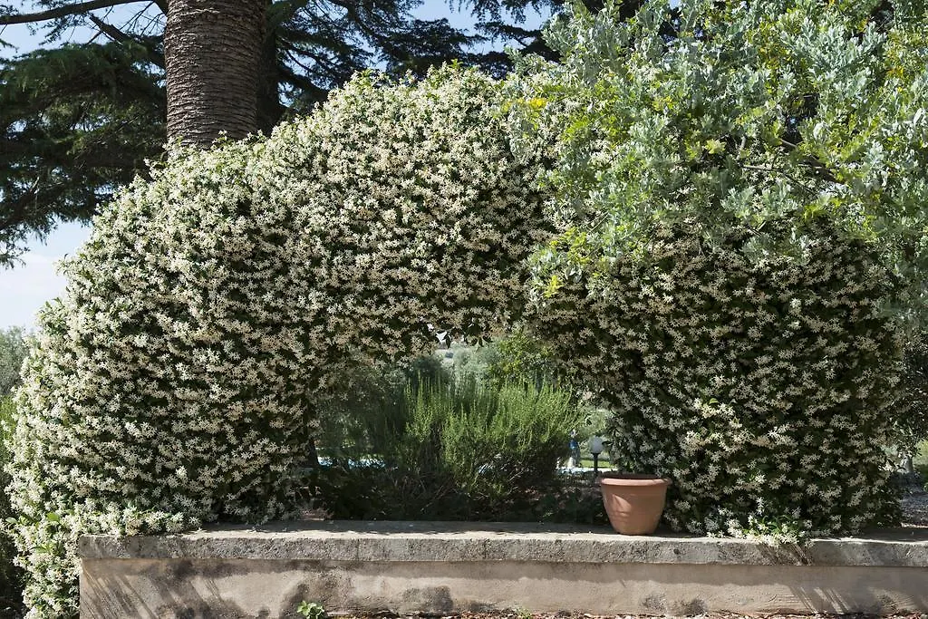 منزل ريفي Canicattini Bagni Agriturismo Borgo Degli Ulivi إيطاليا